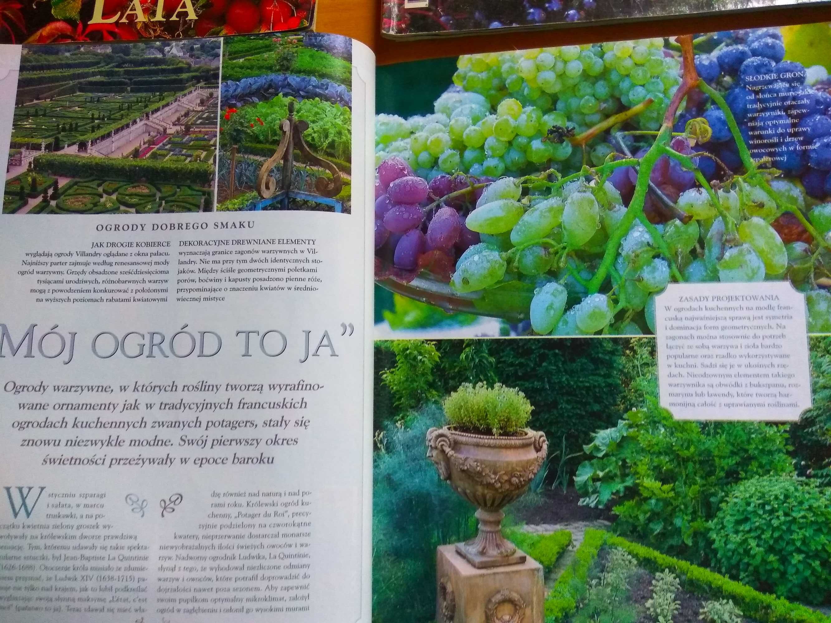 Mój piękny ogród magazyny archiwalnne