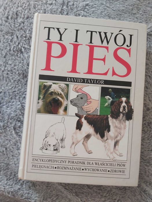 Ty i Twój Pies Taylor