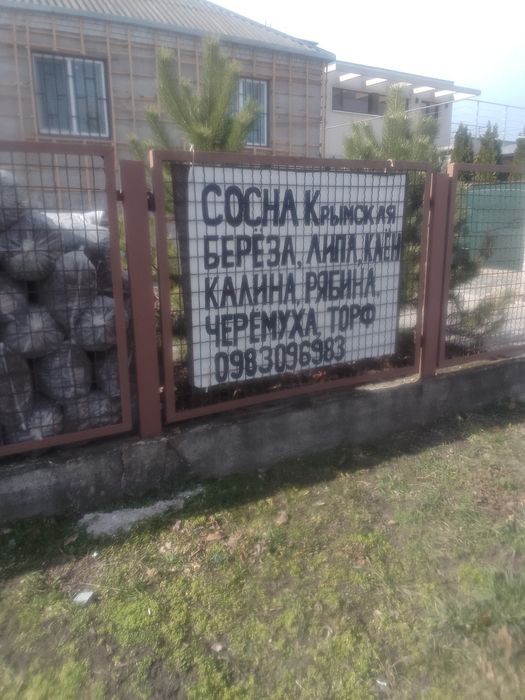 Кора сосновая крупная средняя
