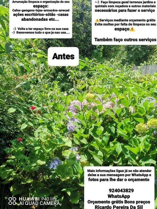 Faço Limpeza geral Podas Terrenos e Quintais Rocadora tb outros serviç