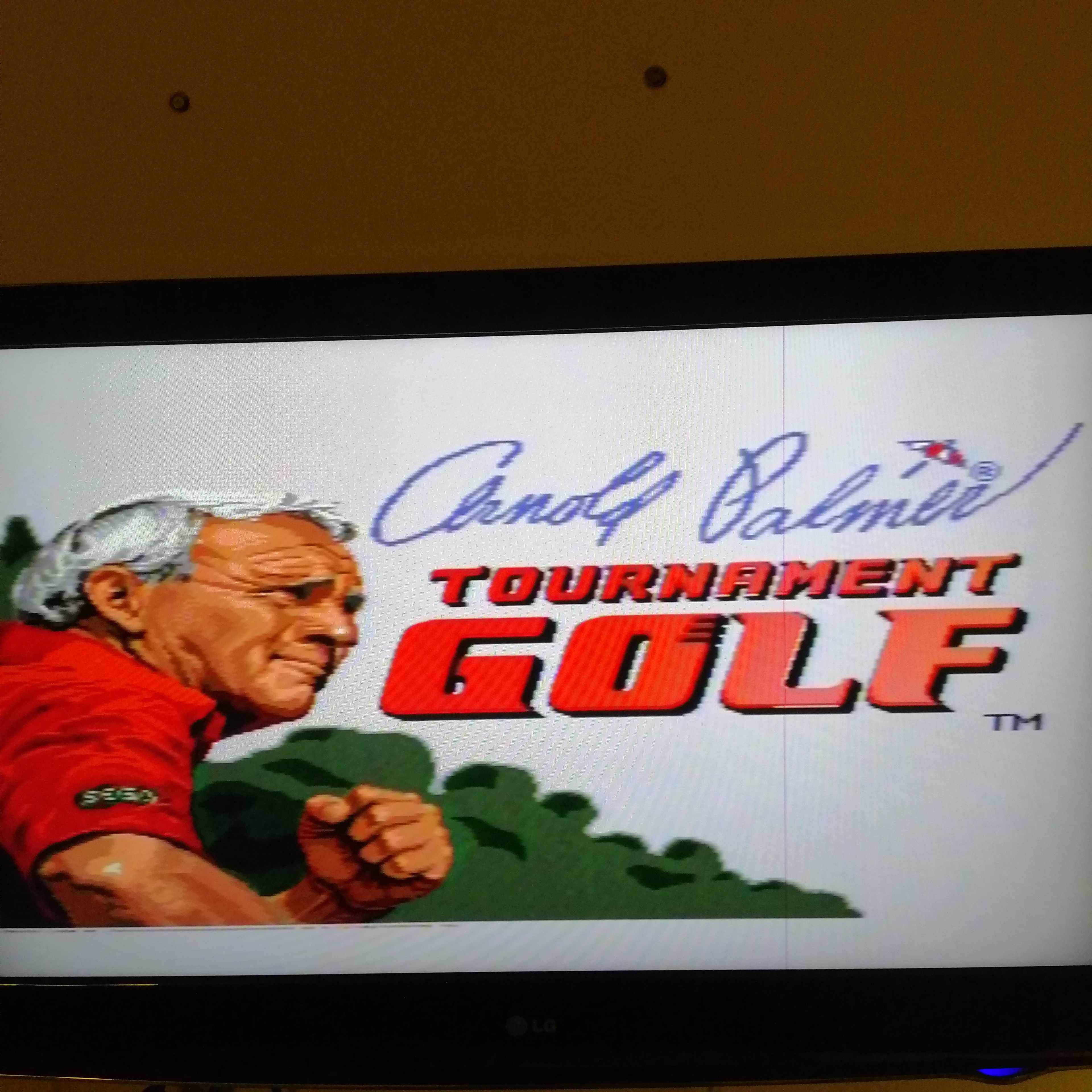 Oryginalna! Gra na konsolę SEGA Mega Drive - Tournament Golf