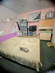 Сдам в аренду 2 комн.квартиру на Правом берегу в центре г. Каменское