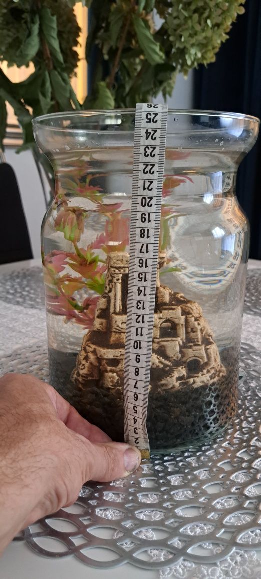Akwarium kpl dla jednej rybki