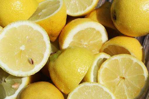 Nasiona Cytryna drzewko szt.5 Nxx44  -  Citrus limon
