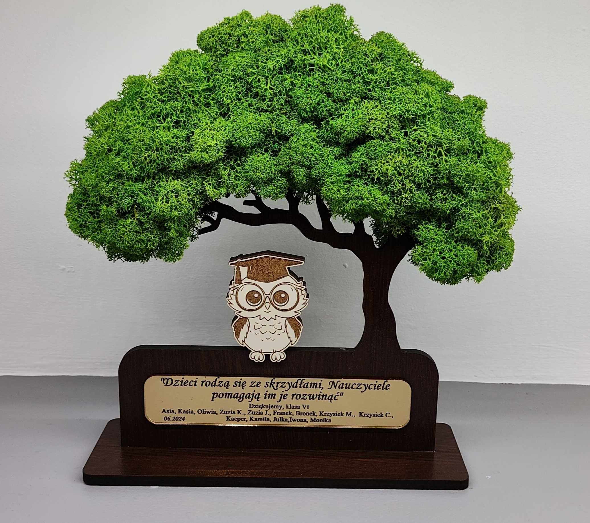 Drzewo bonsai mech 3D stojące zakończenie roku pan sowa dowol grawer