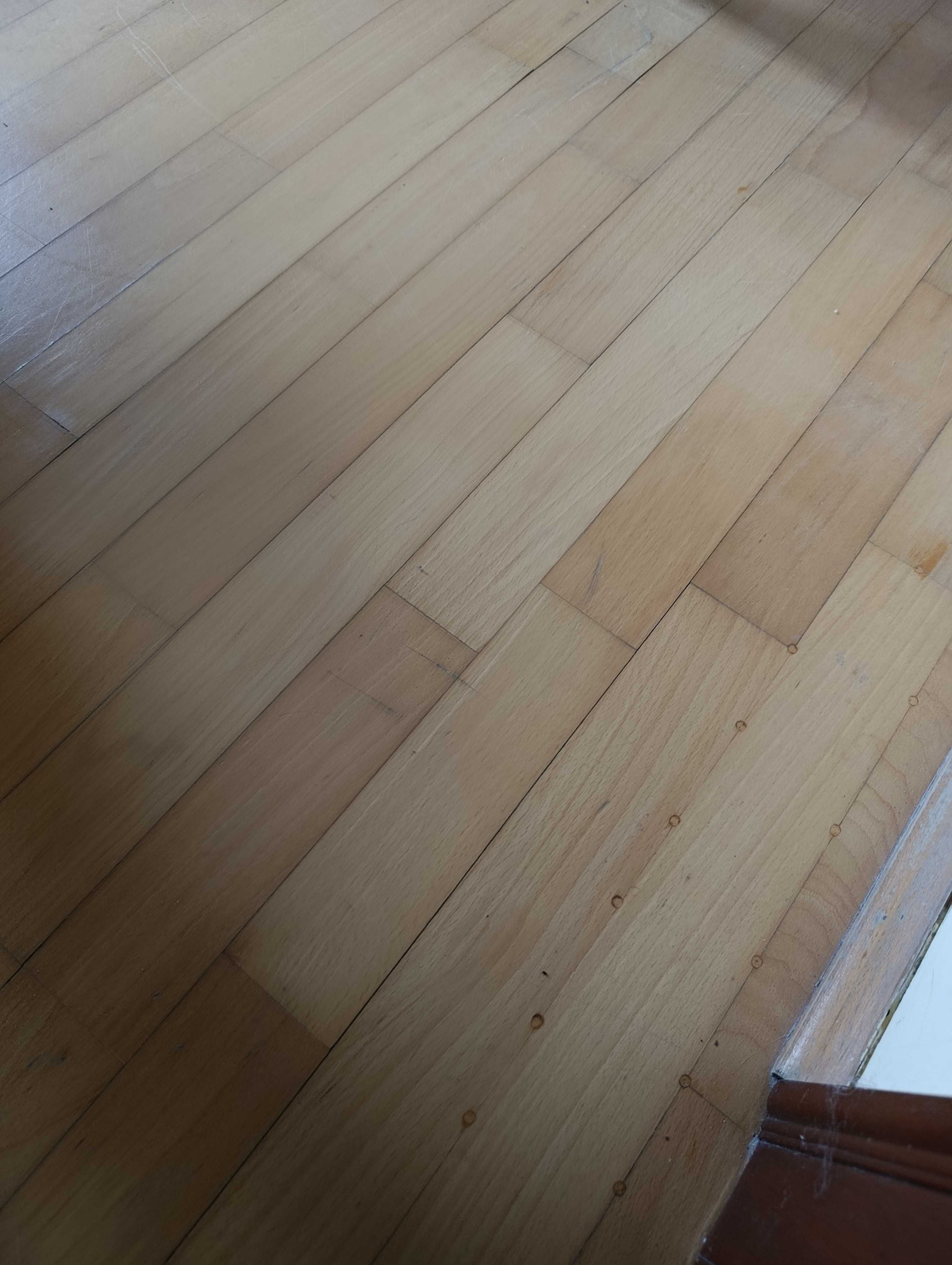parkiet używany bardzo bardzo pilnie sprzedam
