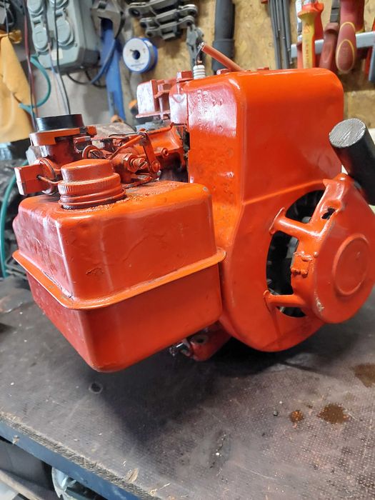 Silnik briggs&stratton dolnozaworowy