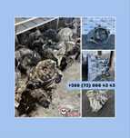 Коробка передач 1.5 dci Renault Nissan Dacia MersedesTL4 JR5 JH3