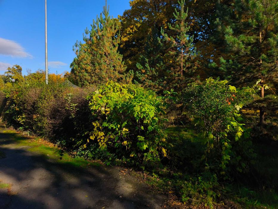 Голосіївський район 32 сотки, Землі житлової та громадської забудови