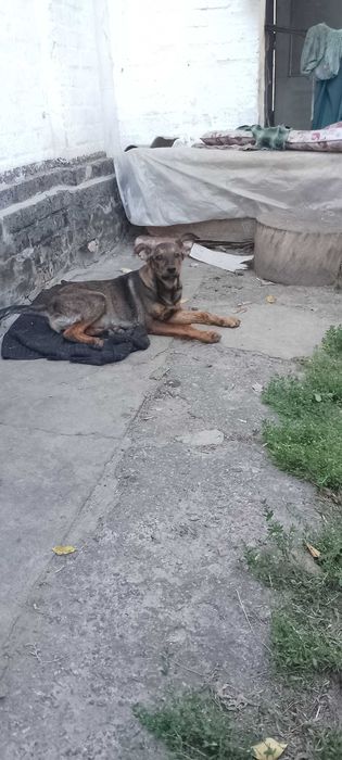 Супер класнюча позитивна Карамелька