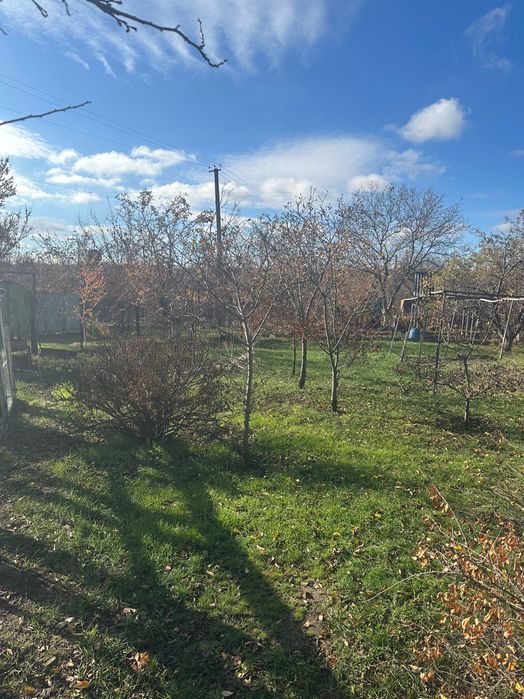 Дачний будинок с земельною ділянкою