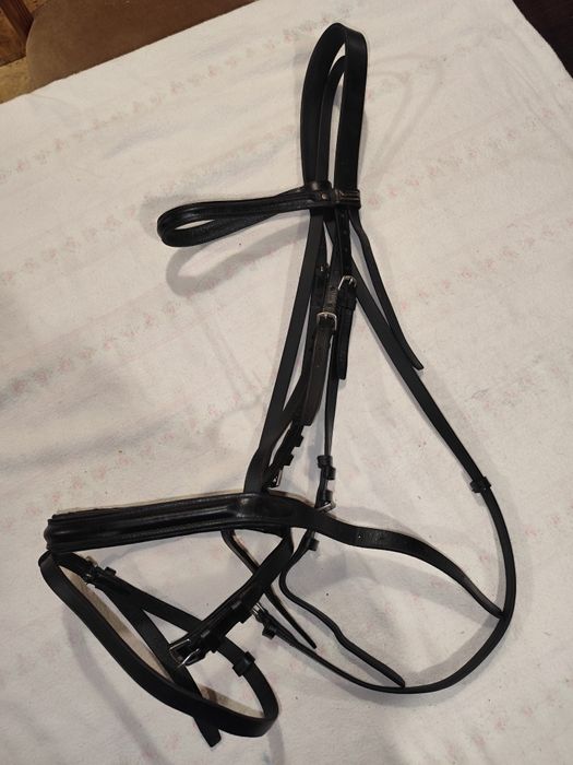 Dwa czarnych ogłowia