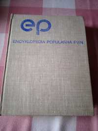 Encyklopedia Popularna PWN