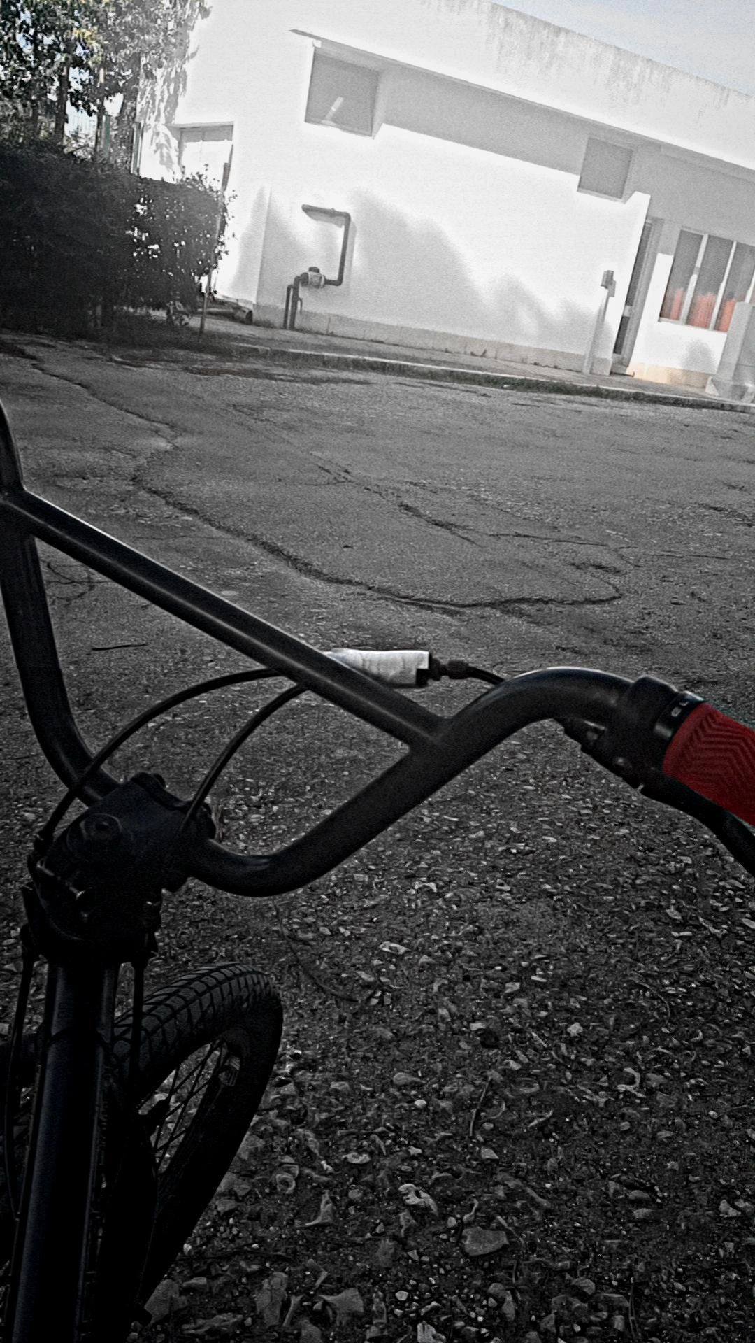 Bmx profissional