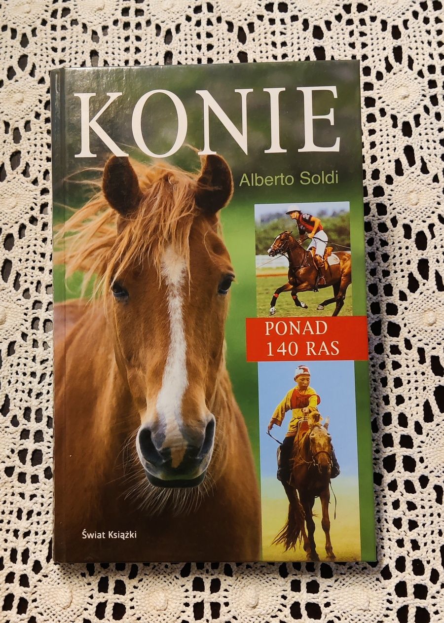 Konie Alberto Soldi