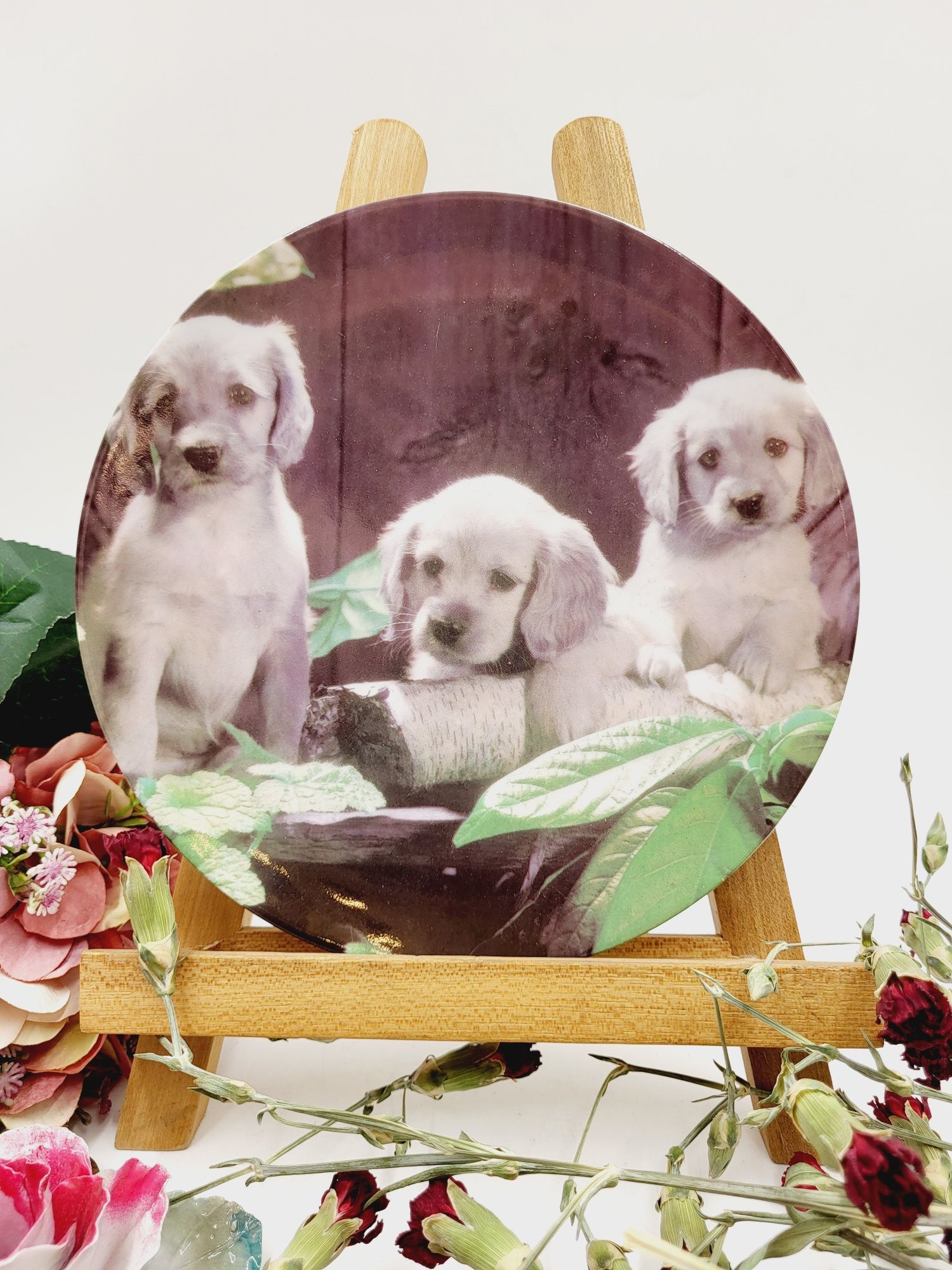 Ładny dekoracyjny talerz z motywem psów