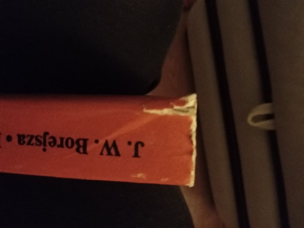 Borejsza Rzym a wspólnota faszystowska