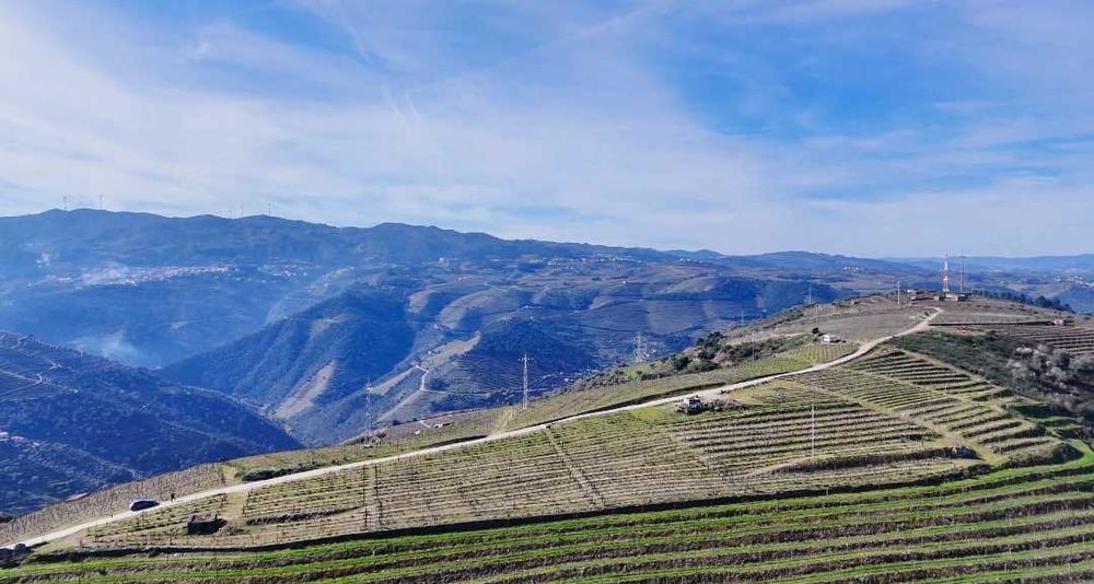 Vende-se terreno rústico em Valença do Douro - Tabuaço