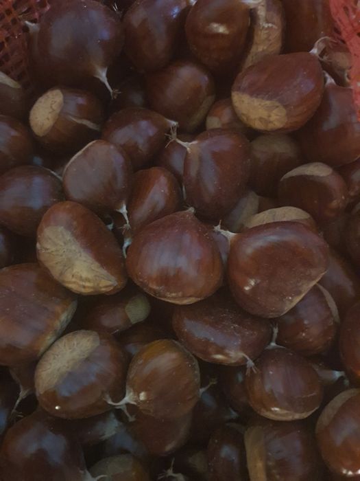 Castanhas de ótima qualidade