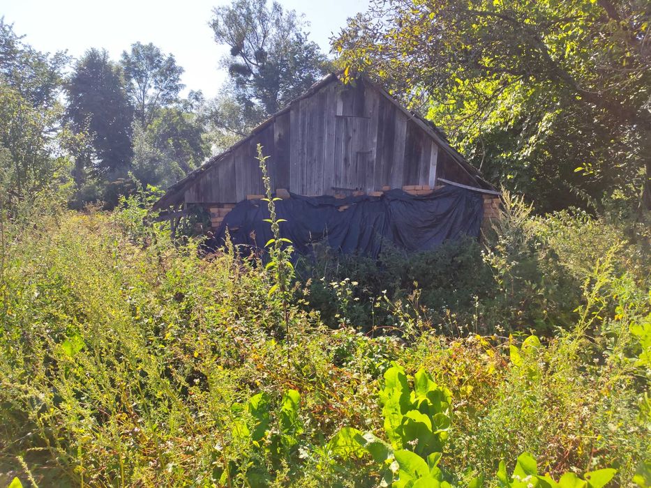 Земельна ділянка зі старим будинком с. Тамановичи