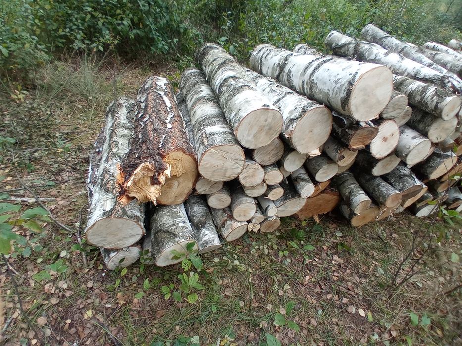 Drzewo opałowe  sprzedam