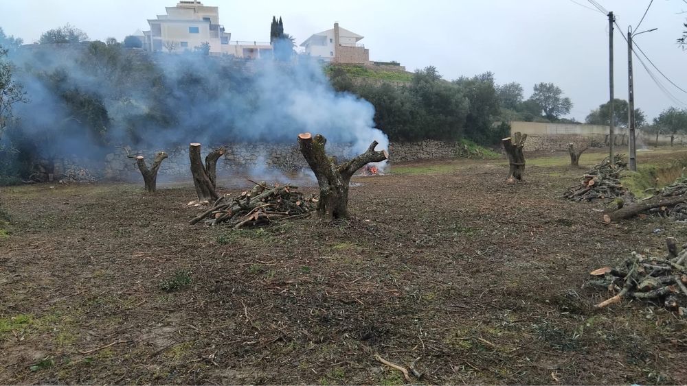 Limpezas e desmatação de terrenos