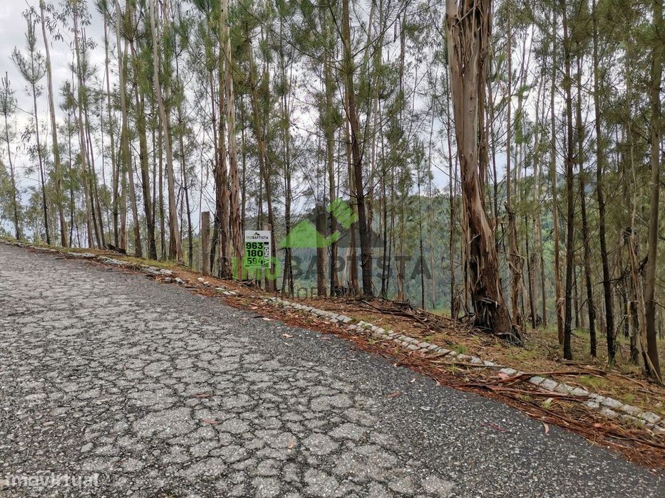 Terreno c/3600 m2 em Canedo