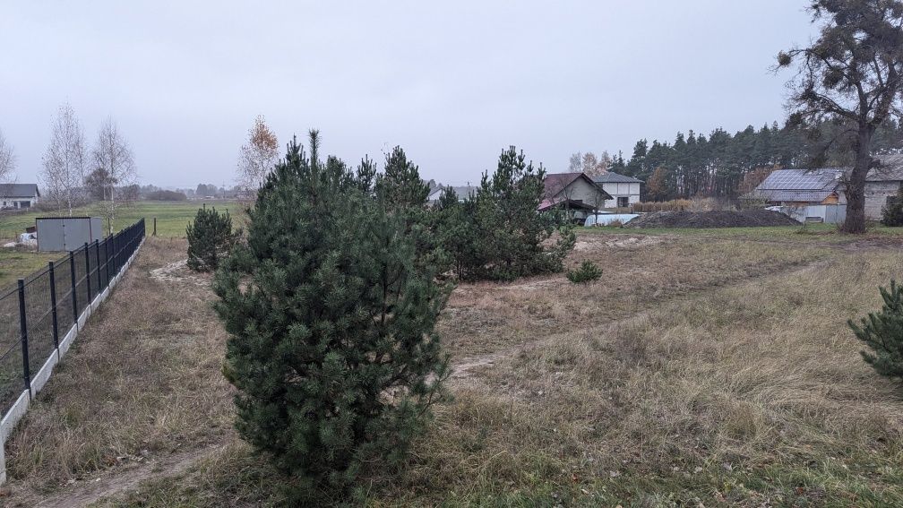 Działka budowlana Sadlinki, Karpiny