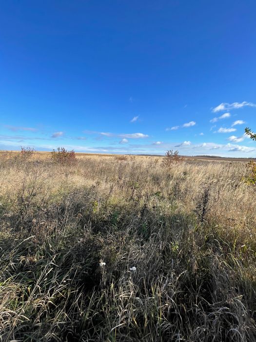 Продається ділянка у Почапинцях біля Тернополя