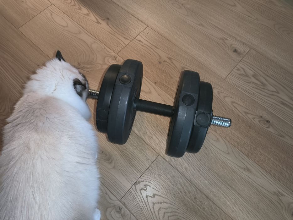 Hantel bitumiczny 15kg