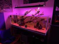 Akwarium VIV 375L, Chihiros, Aquael, Stan BDB