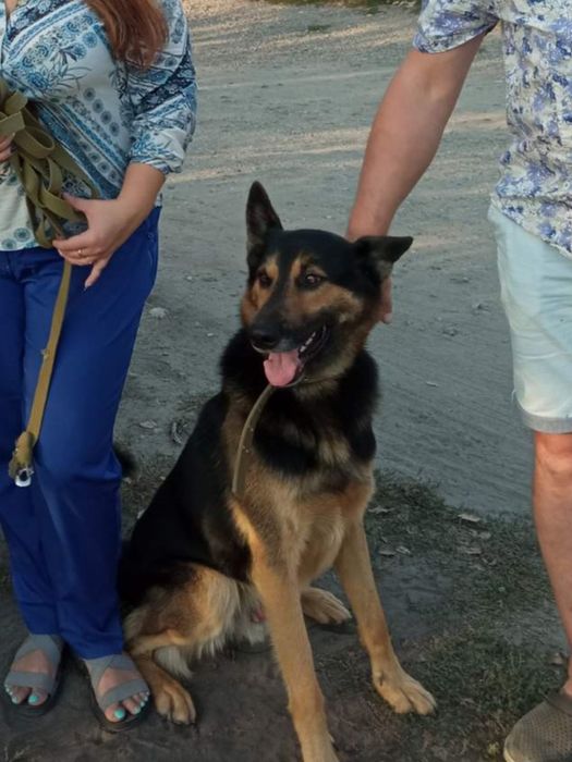 Допоможіть знайти