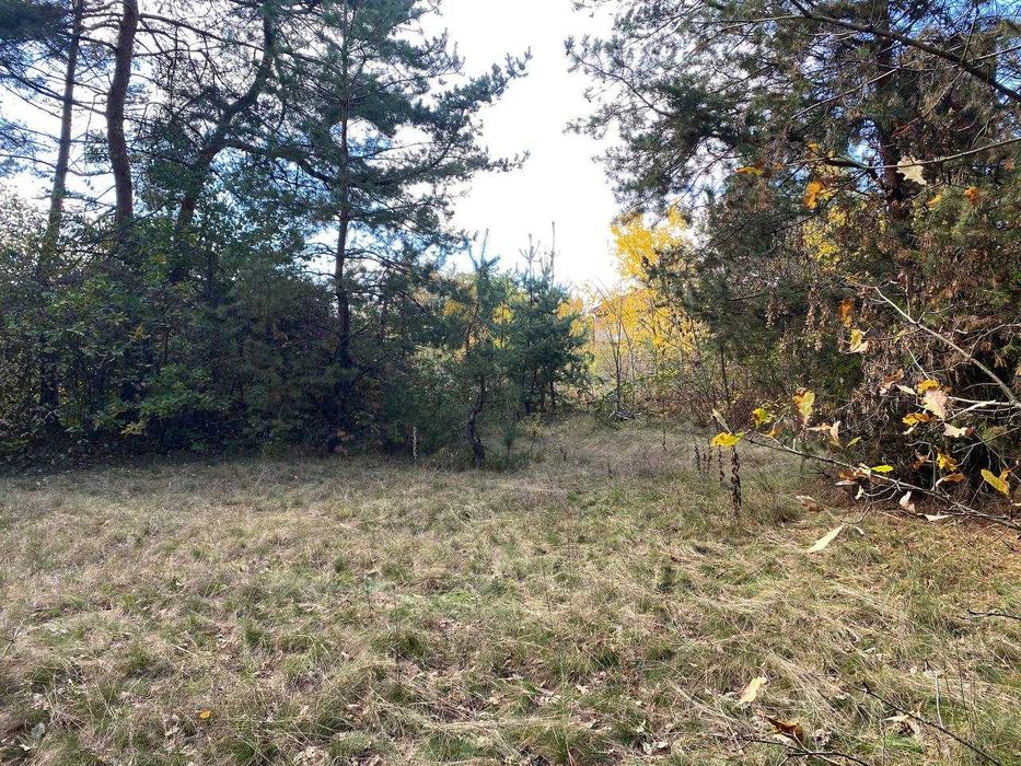 Продам ділянку мрії  біля соснового лісу в м.Гайворон!