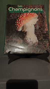 Livro de cogumelos em francês