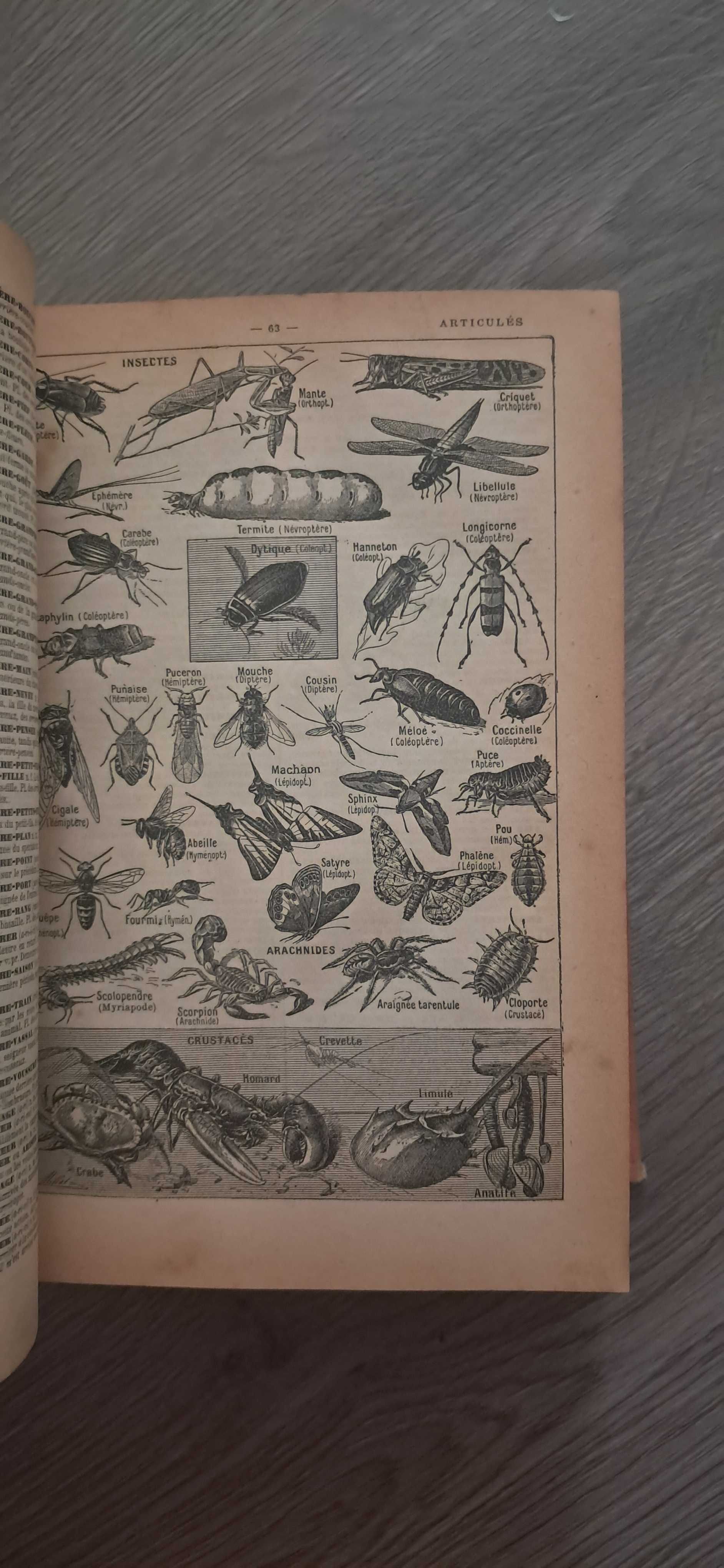 Dicionário de francês Petit Larousse Illustré com imagens