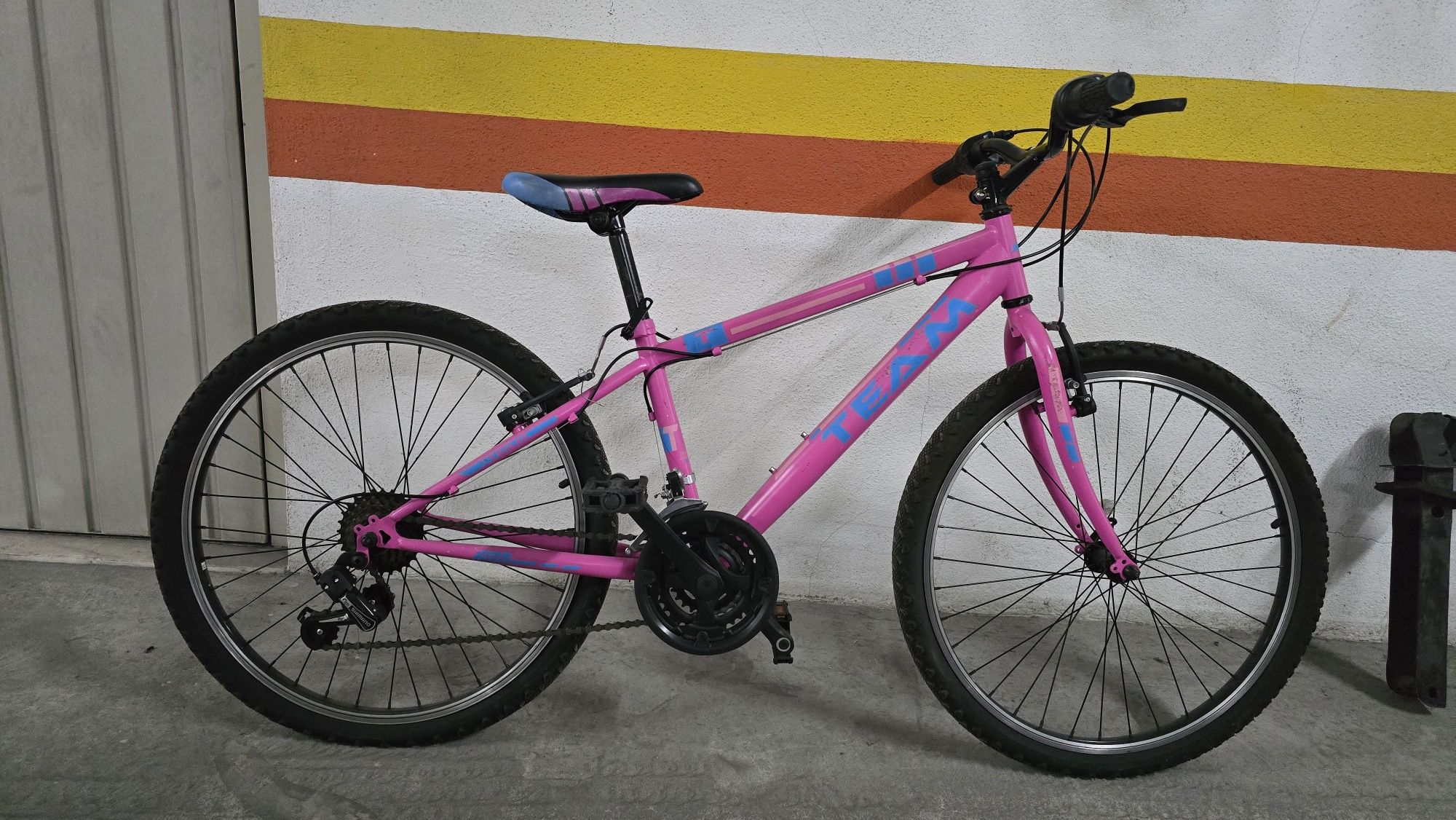 Bicicleta TEAM roda 24"