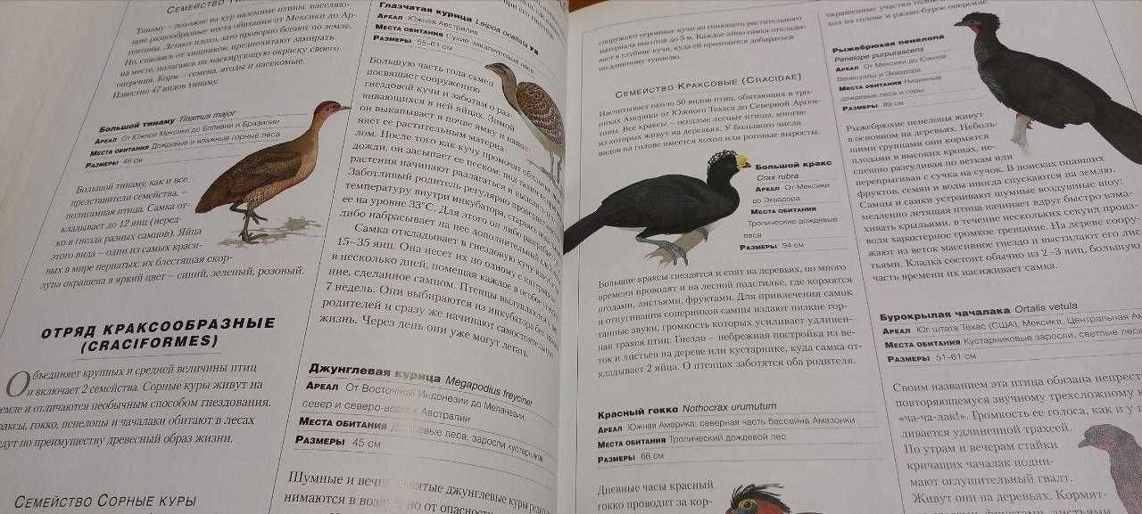 Новейшая энциклопедия животных