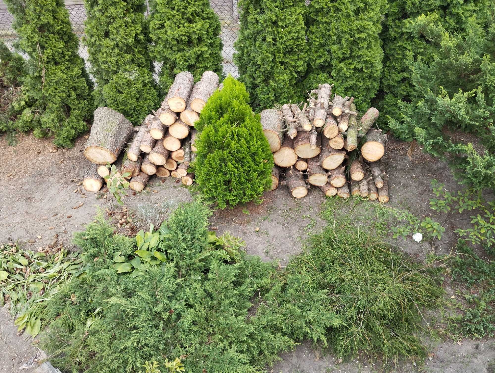Drewno na opał Modrzew i Świerk