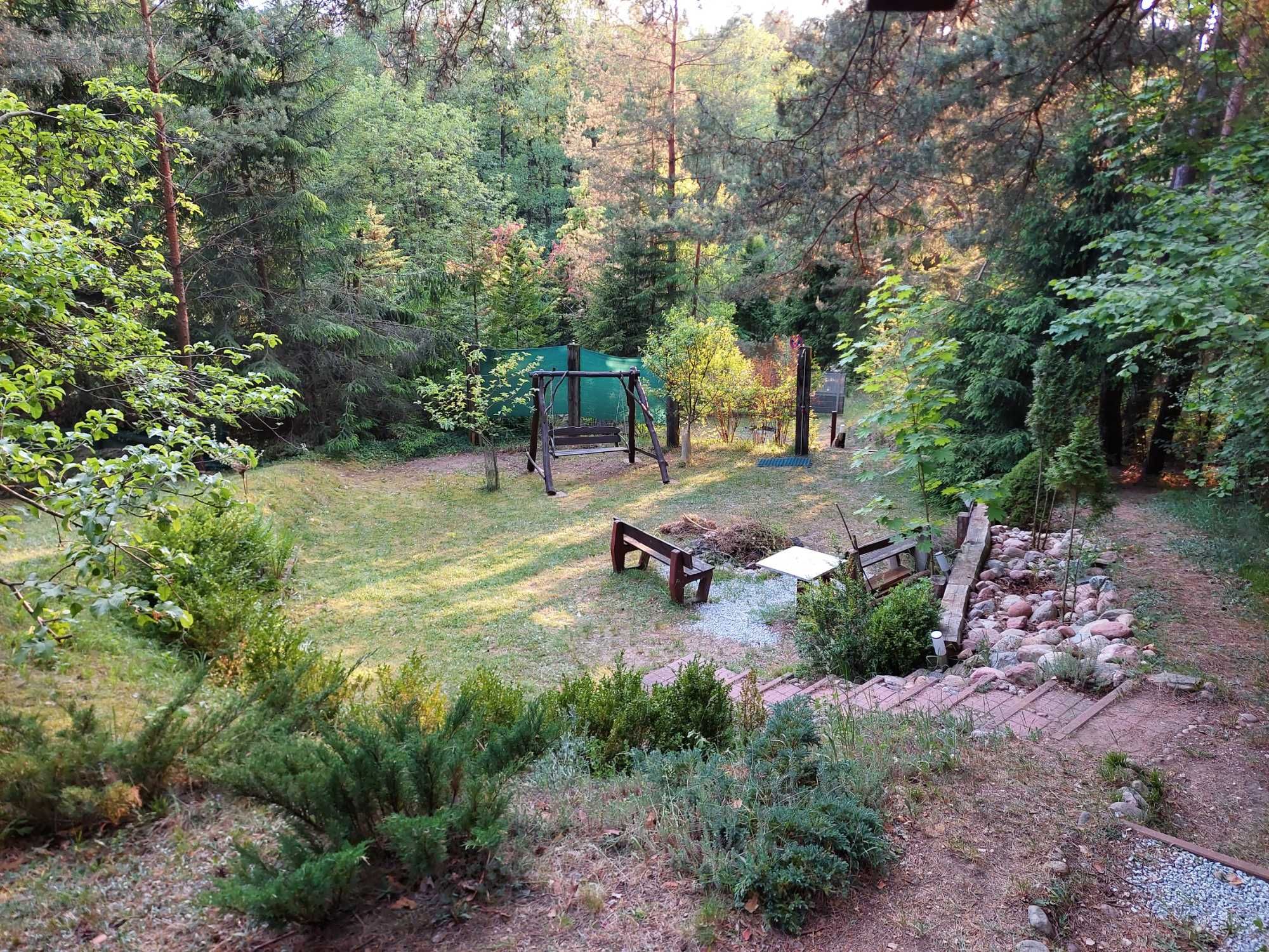 Domek do wynajęcia dolina rospudy