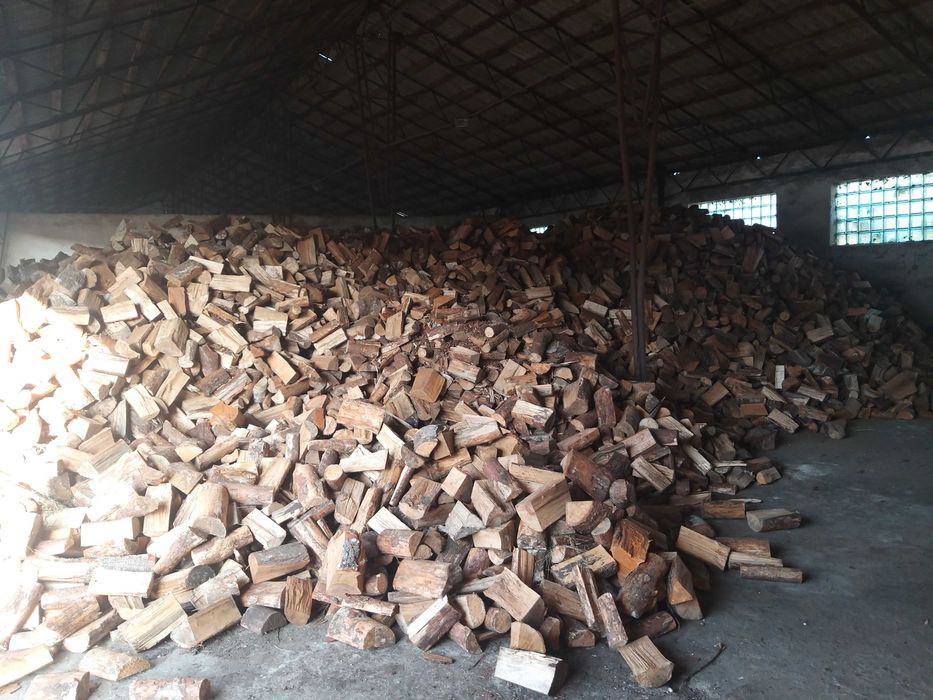 5.0.1.0.2.6.1.4.9 Drewno, drzewo kominkowe, opałowe