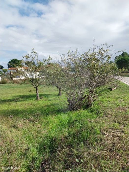 Terreno  para venda