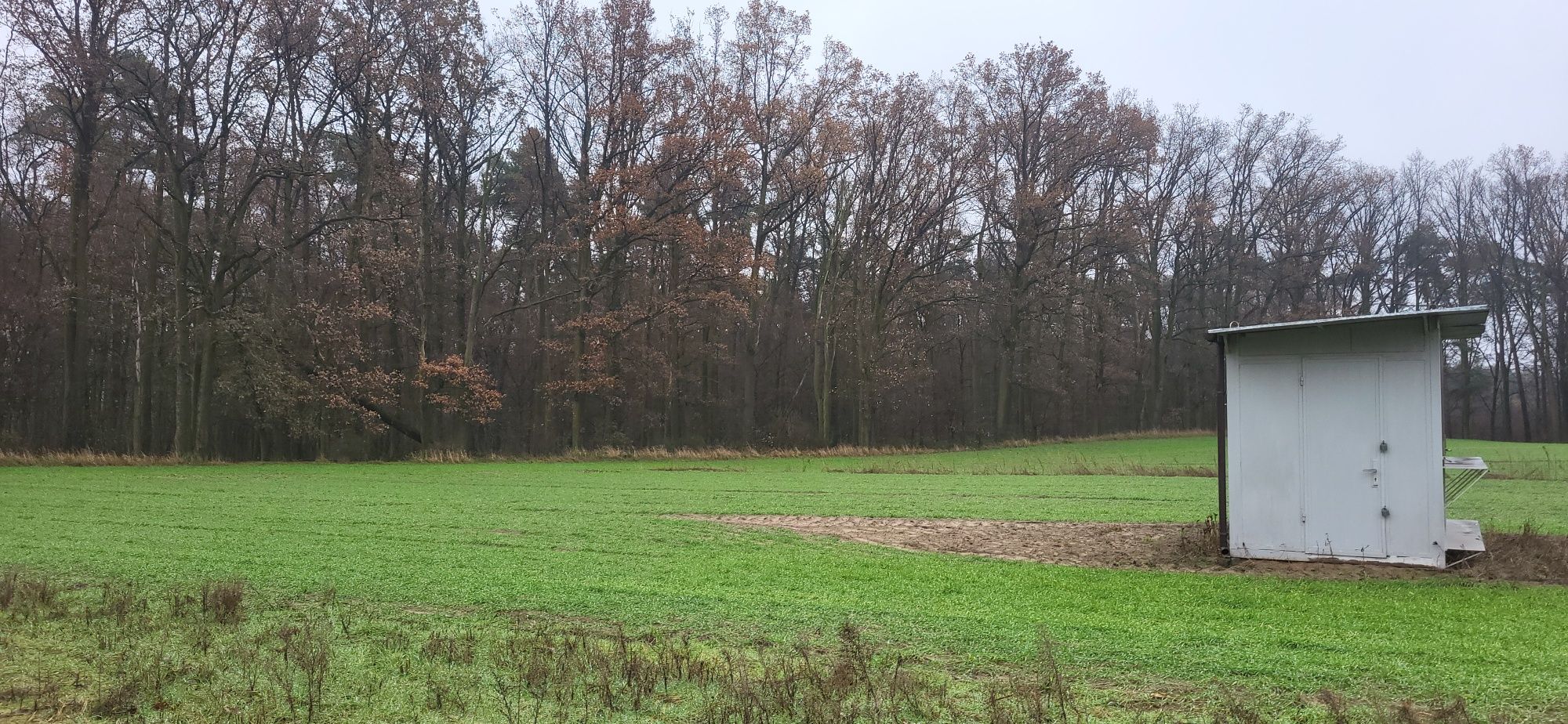 Dzialka budowlana Lewkowiec Ostrów Wielkopolski  919 m 2 sprzedam
