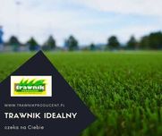 Trawnik z rolki Ogrodowo Sportowy