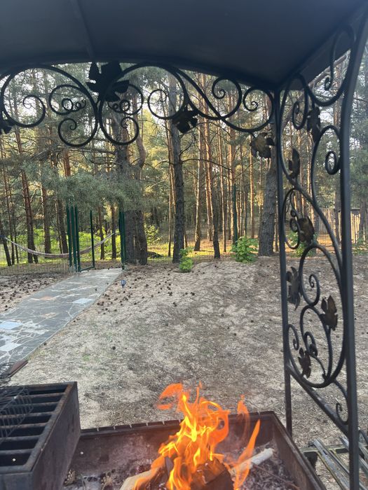 Оренда будиночку з сауною в лісі, біля води.