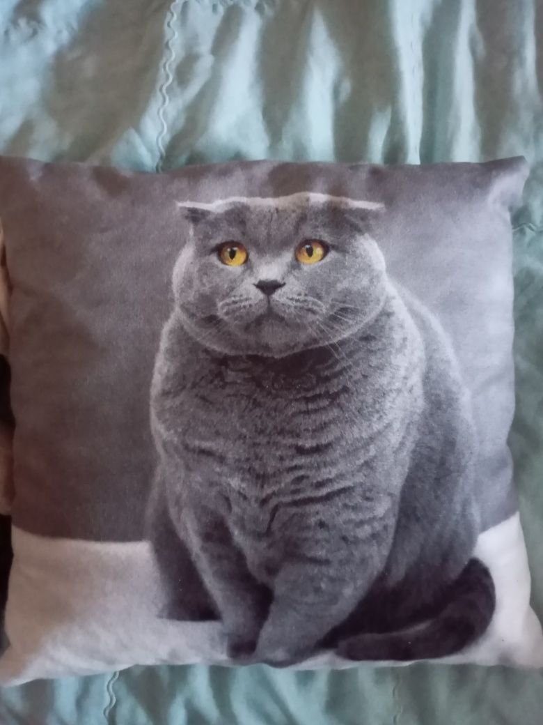 Подушка з котом / з фотографією кота