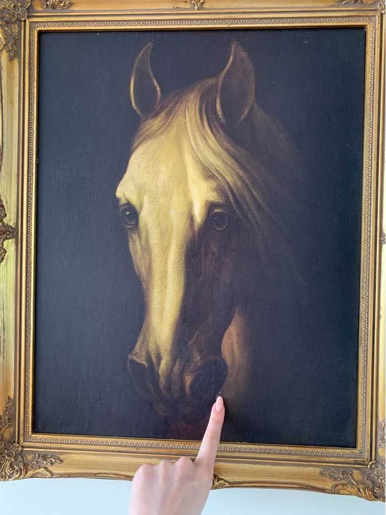 Obraz w pięknej ramie - Koń