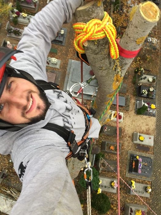 Wycinka Drzew zrębkowanie gałęzi alpinista drwal frezowanie pni