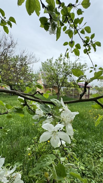 Продам дачу,с/т Лебедине плесо Новоселівка, Піщанка на березі р.Самара