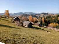 Будинок, земля 0,85 га в горах, Карпати, жилий стан