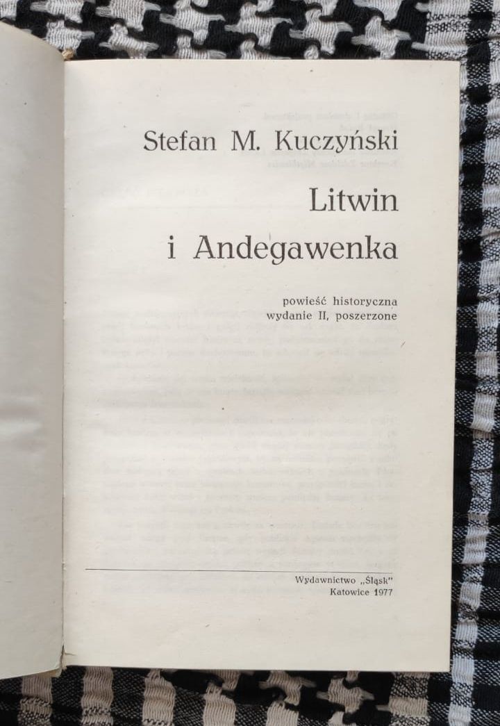 Stefan M. Kuczyński - Litwin i Andegawenka